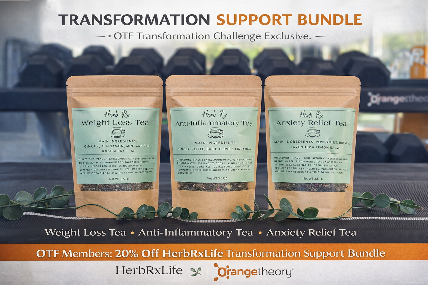 Transformation Support Bundle